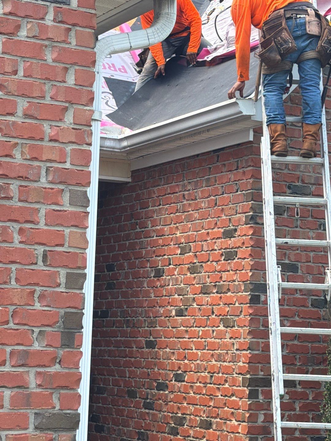 project